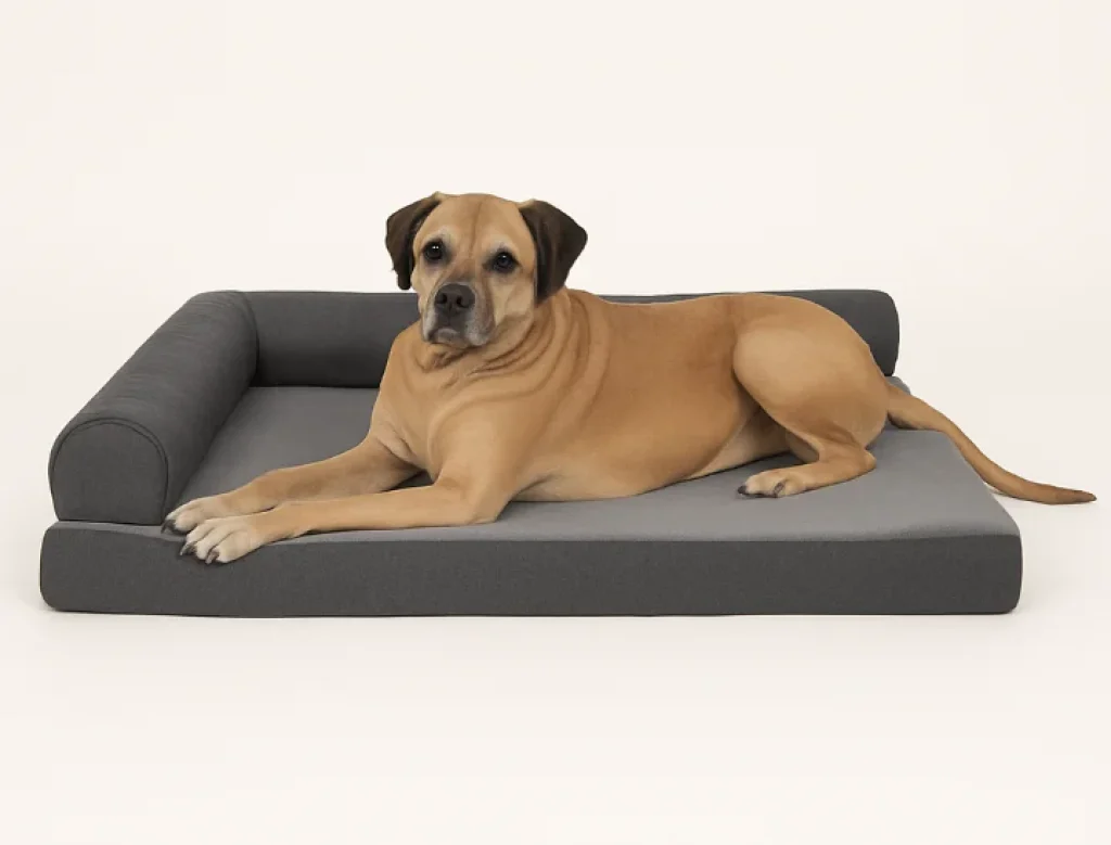 arge senior dog resting on a gray orthopedic dog bed with a supportive side bolster.