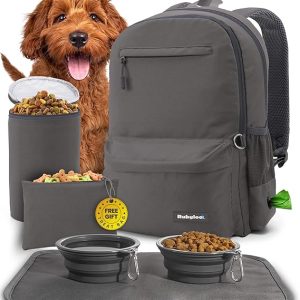 double-layer pet travel backpack with food containers and collapsible bowls